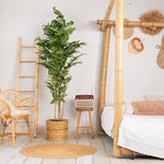 Bamboe Japanese kunstplant 180cm