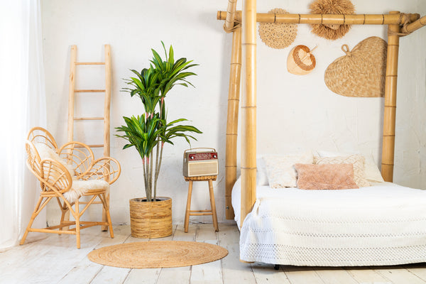 Kunstplant Dracaena Fragnans 150cm