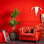 Kunstplant Dracaena Fragnans 150cm