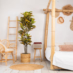 Ficus Deluxe kunstplant 180 cm