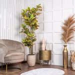 Ficus Deluxe kunstplant 180 cm