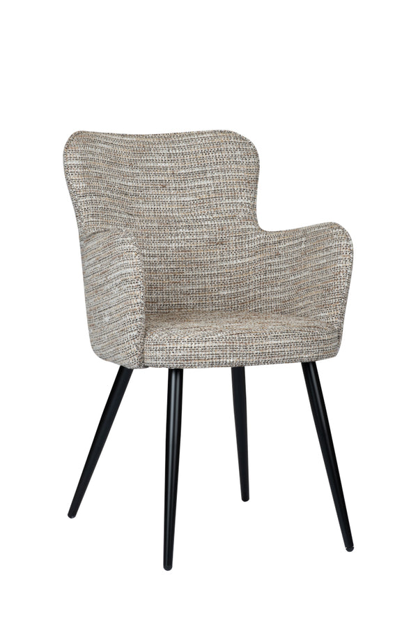 Design eetkamerstoel Wing Coco (2 stuks)