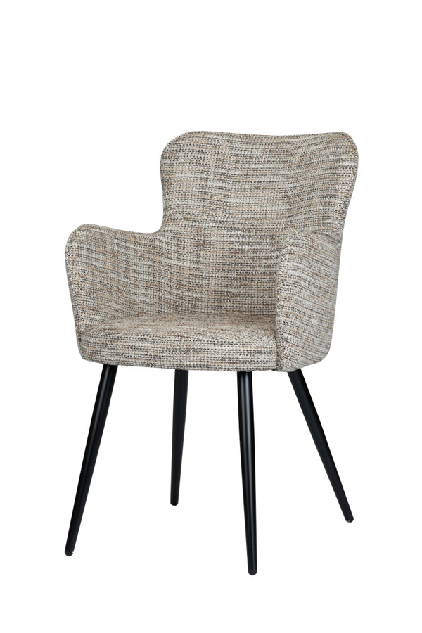 Design eetkamerstoel Wing Coco (2 stuks)